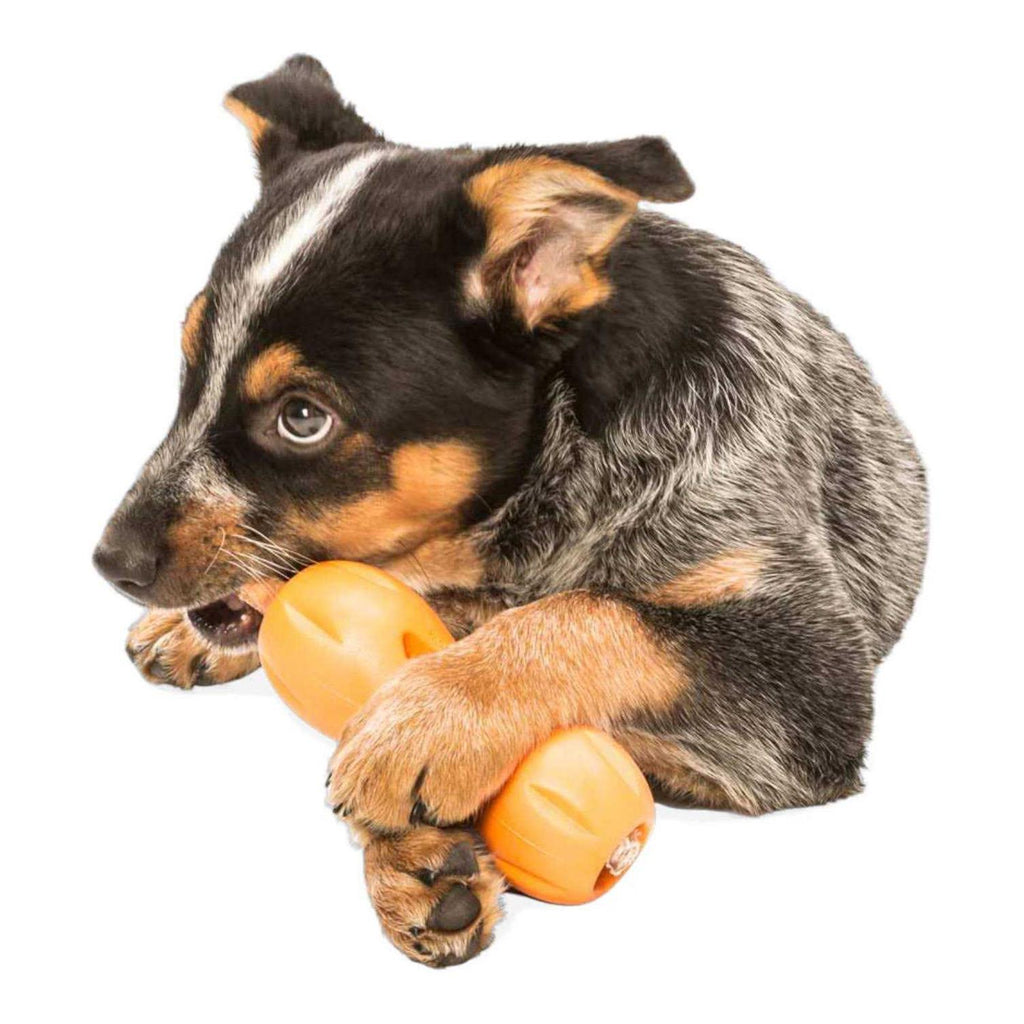Dog Toy C82593