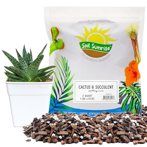 8 Quarts Cactus and Succulent Potting Mix J663883