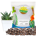 8 Quarts Cactus and Succulent Potting Mix J663883